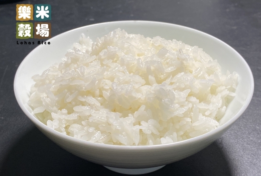 烹飪完美米飯的秘訣