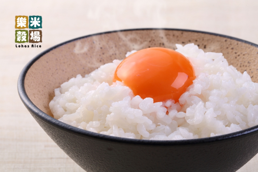 rice_egg